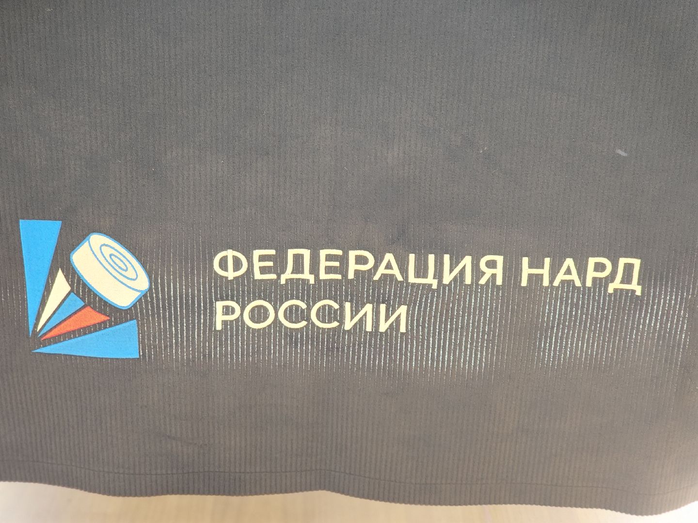 сергиев посад, сергиево-посадский городской округ, центр мещерякова, фестиваль равных возможностей, подмосковье без границ, турнир по фехтованию, дартц, бочча,игорь гундеров, николай лукьянов, фехтование на колясках,