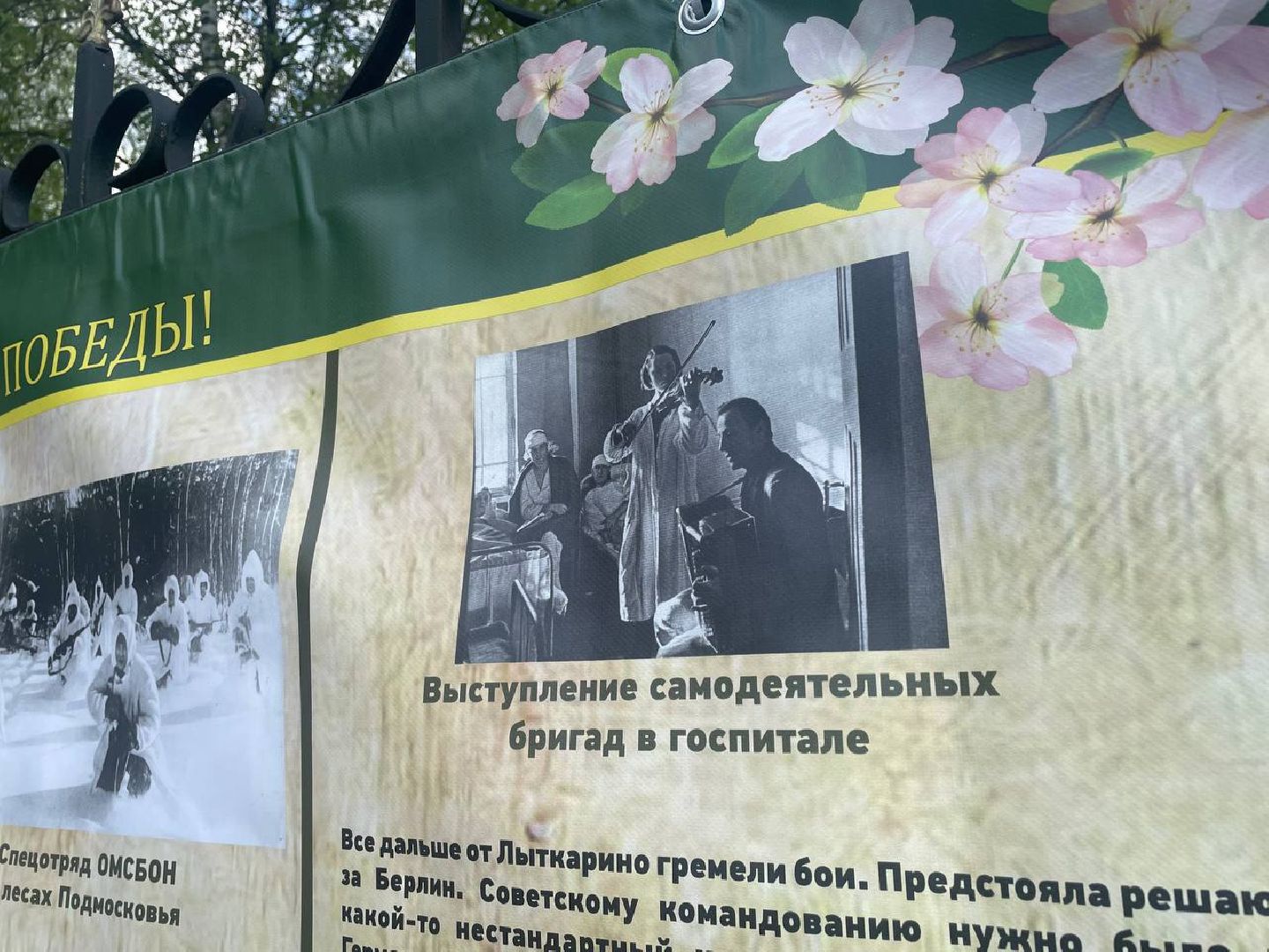 лыткарино, выставка