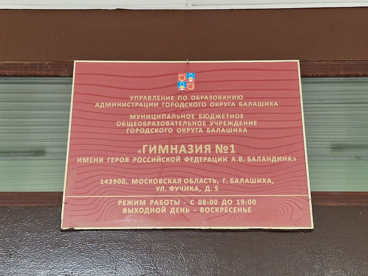 Выборы 2025 Балашиха,