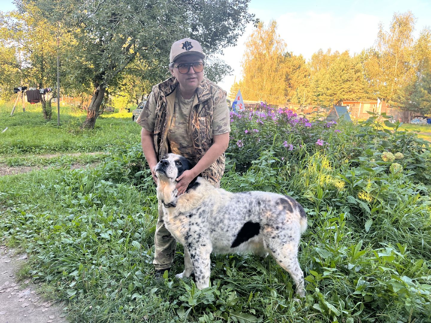 шатура, помощь животным, лошади,