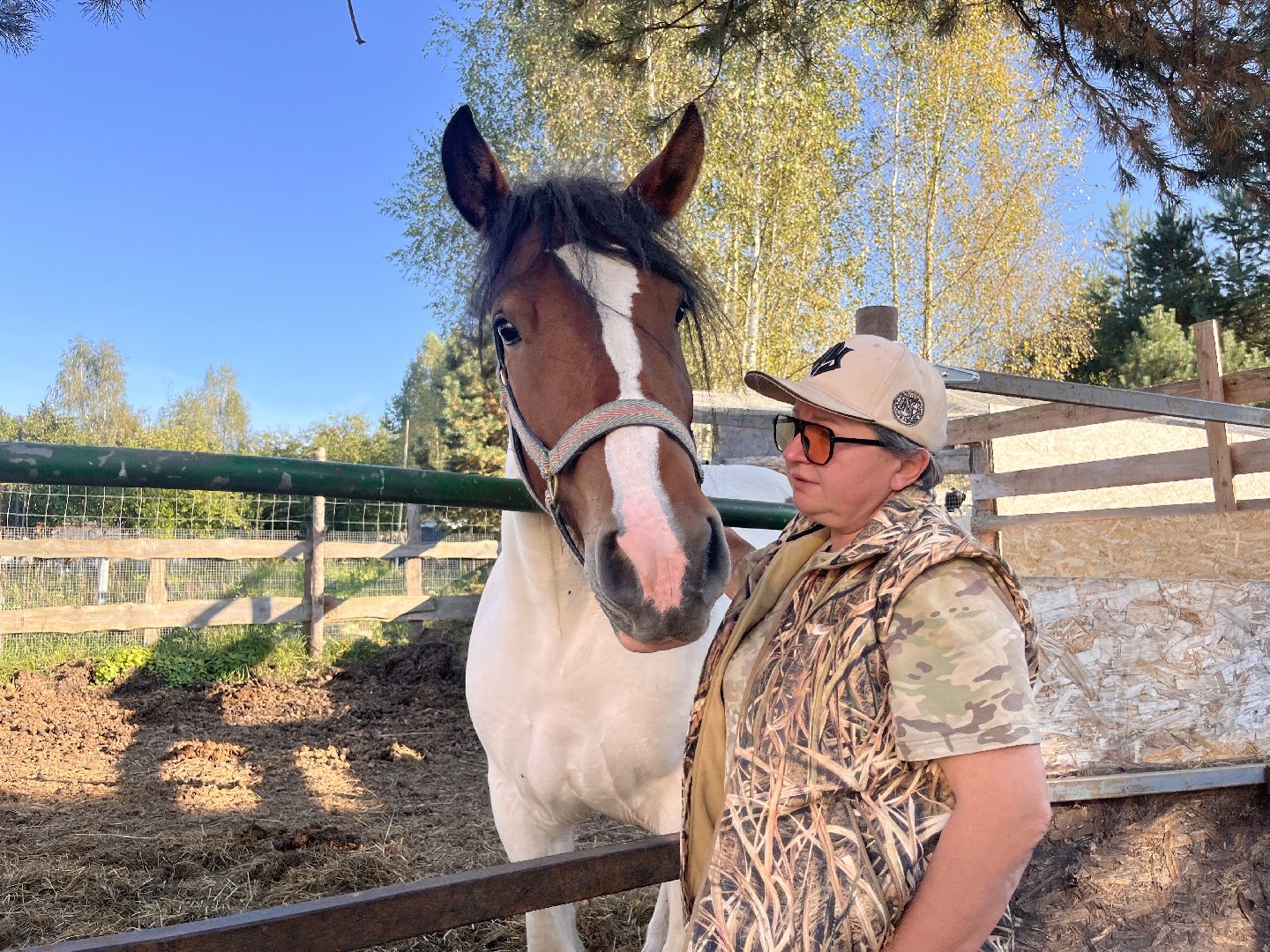 шатура, помощь животным, лошади,