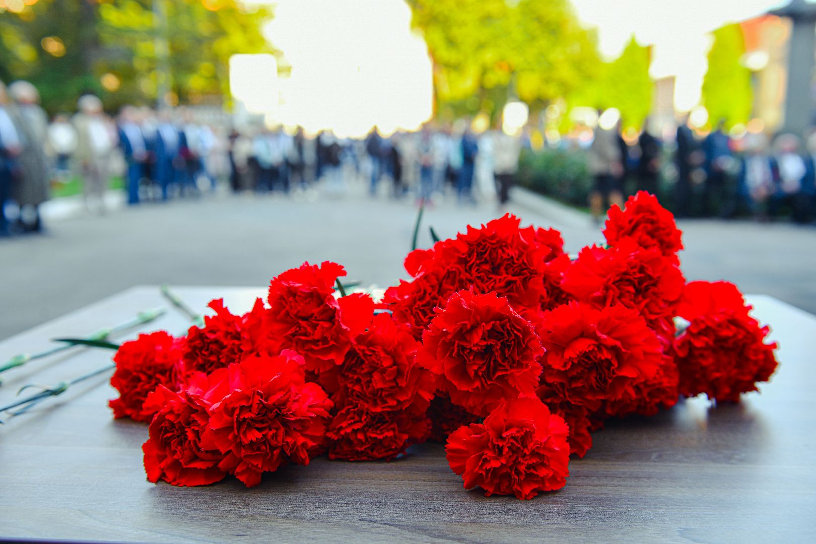 предприятие, город, цветы, память, конструктор,