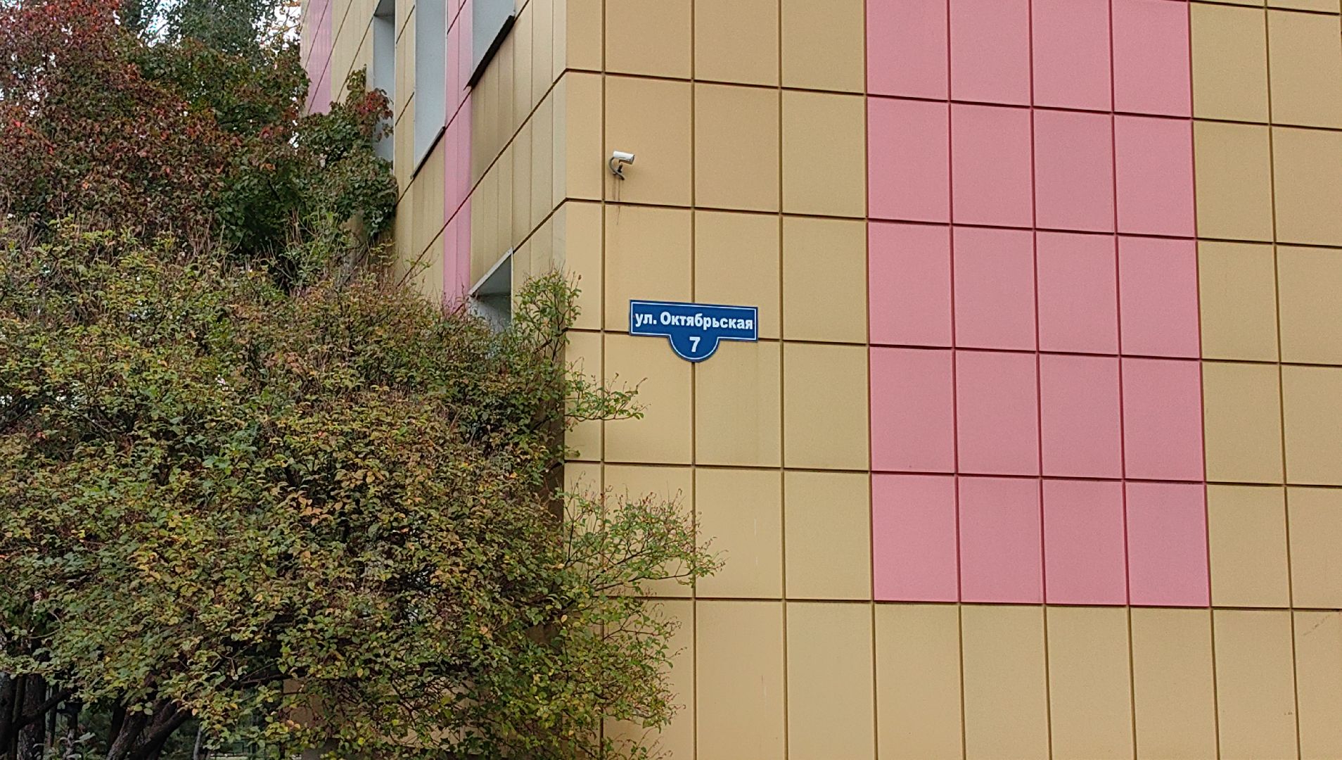 выборы, уик, кандидат, избиратели,