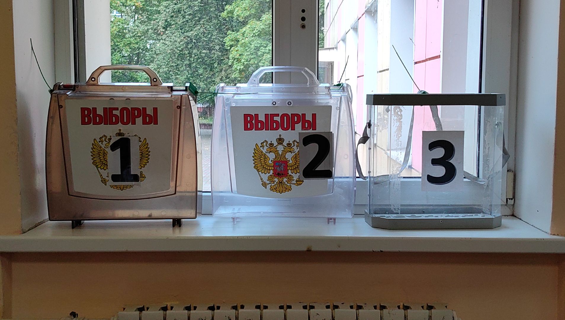 выборы, уик, кандидат, избиратели,