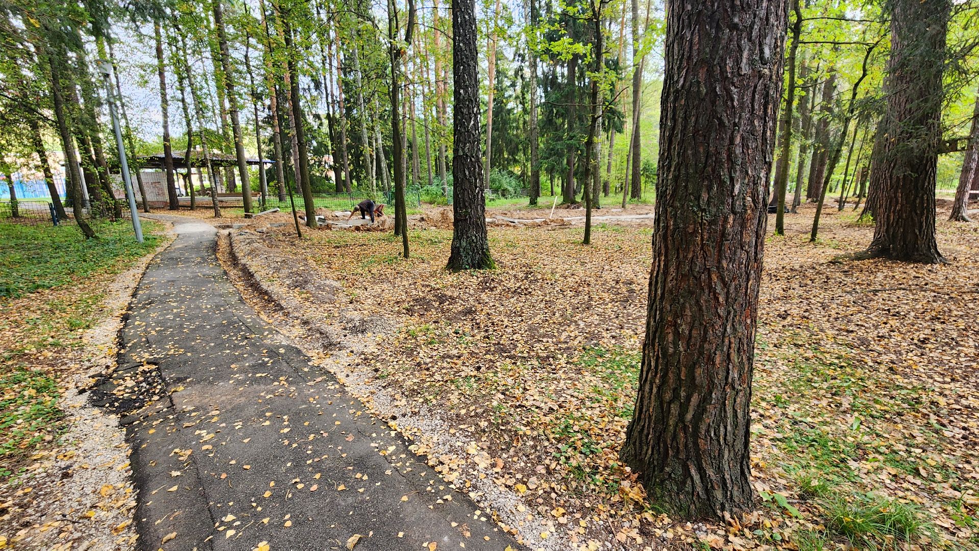 протвино, благоустройство, спортивная школа протвино,