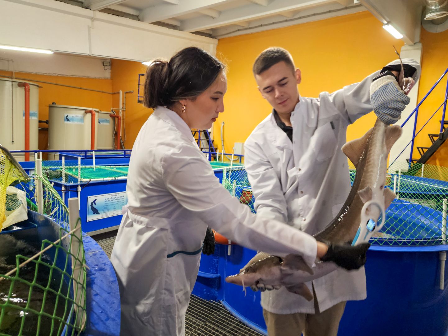 Подольск, виж им эрнста, Выборы, Голосование, Молодая семья, Социальная ипотека, Ученые,