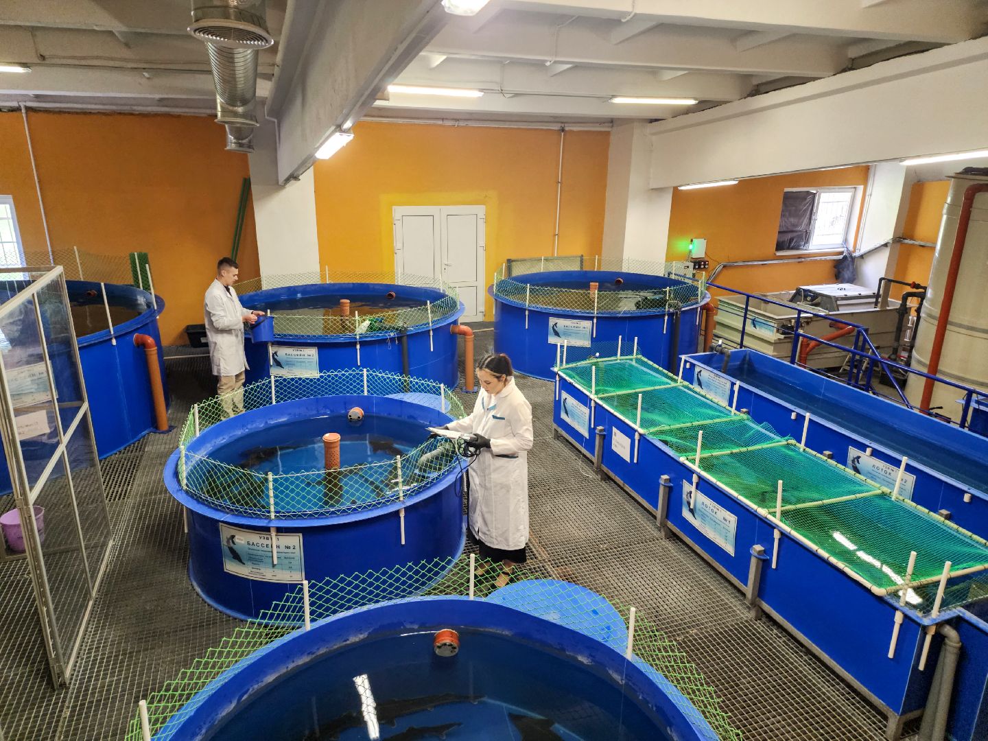 Подольск, виж им эрнста, Выборы, Голосование, Молодая семья, Социальная ипотека, Ученые,