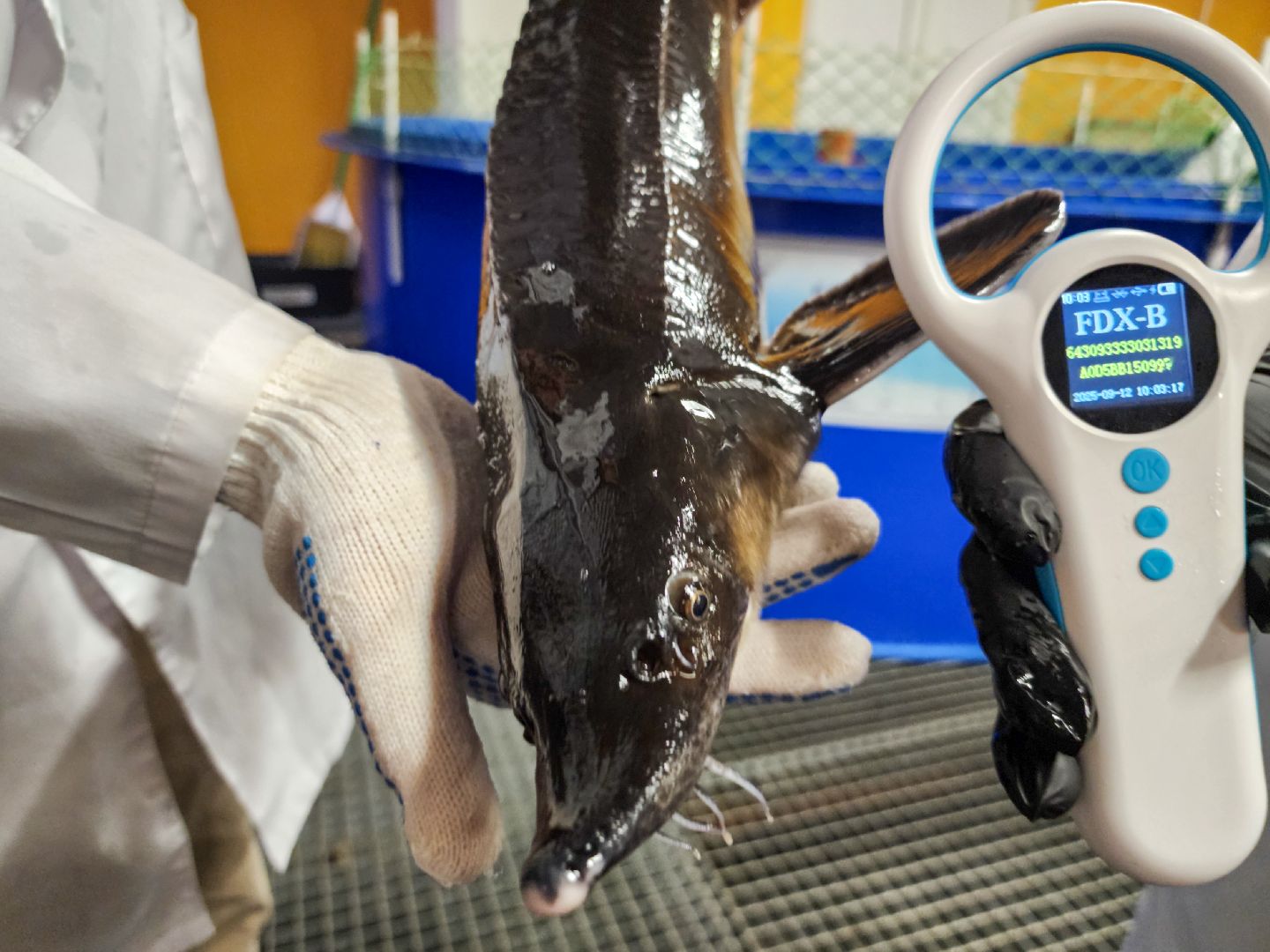 Подольск, виж им эрнста, Выборы, Голосование, Молодая семья, Социальная ипотека, Ученые,