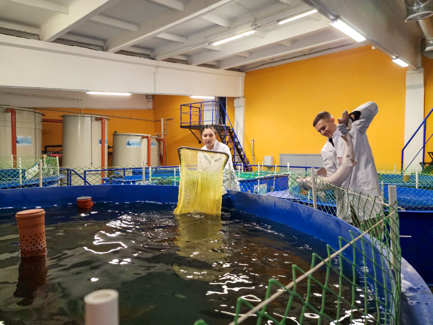 Подольск, виж им эрнста, Выборы, Голосование, Молодая семья, Социальная ипотека, Ученые,