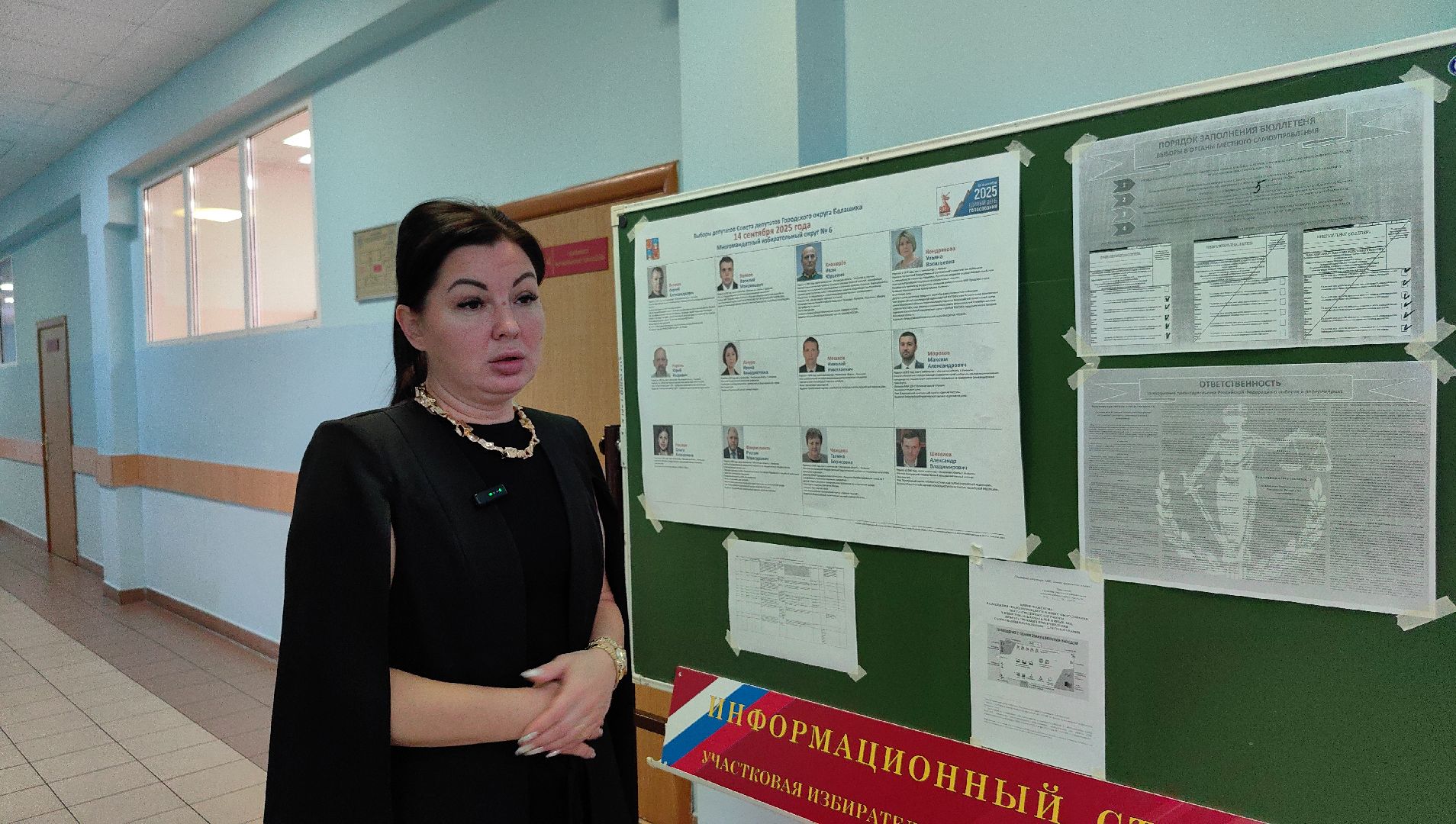 совет депутатов, выборы, избиратели, кандидаты,