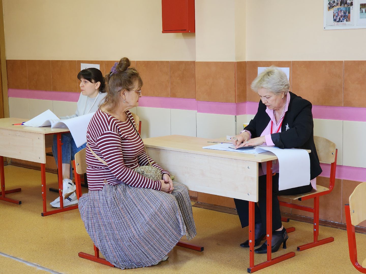 Электросталь , Выборы, Голосование, совет депутатов, жители,