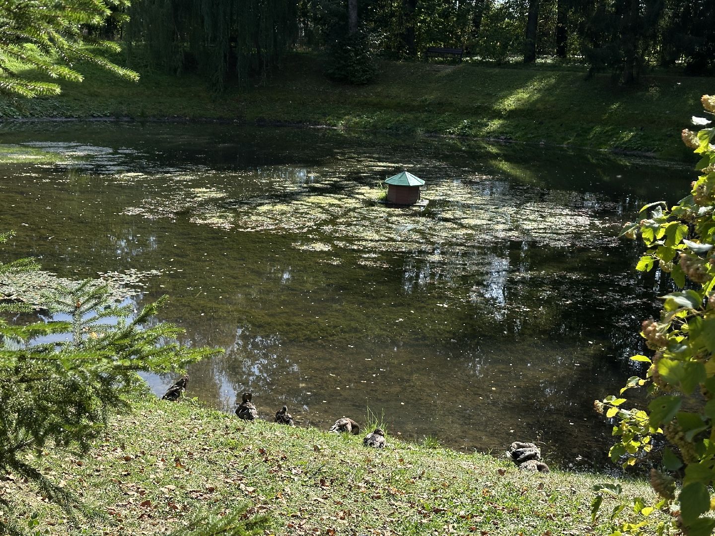 музей абрамцево, спектакль, культура, туризм, сергиево-посадский городской округ,