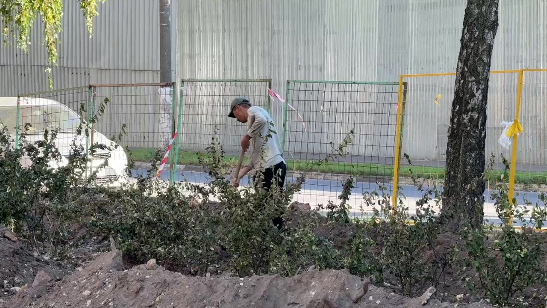 Реутов, благоустройство, сквер,