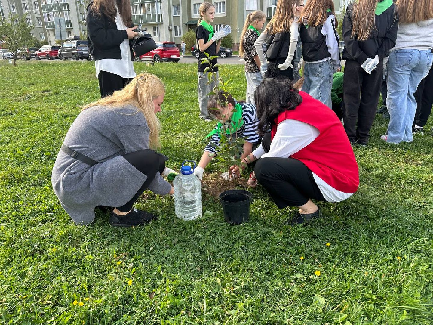 сохраним лес вместе, домодедово, озеленение,