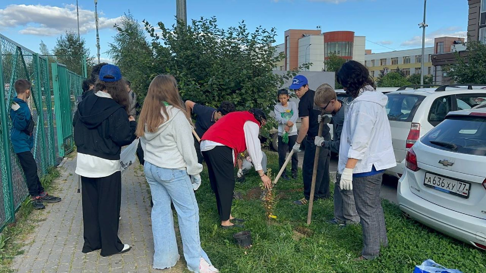 сохраним лес вместе, домодедово, озеленение,