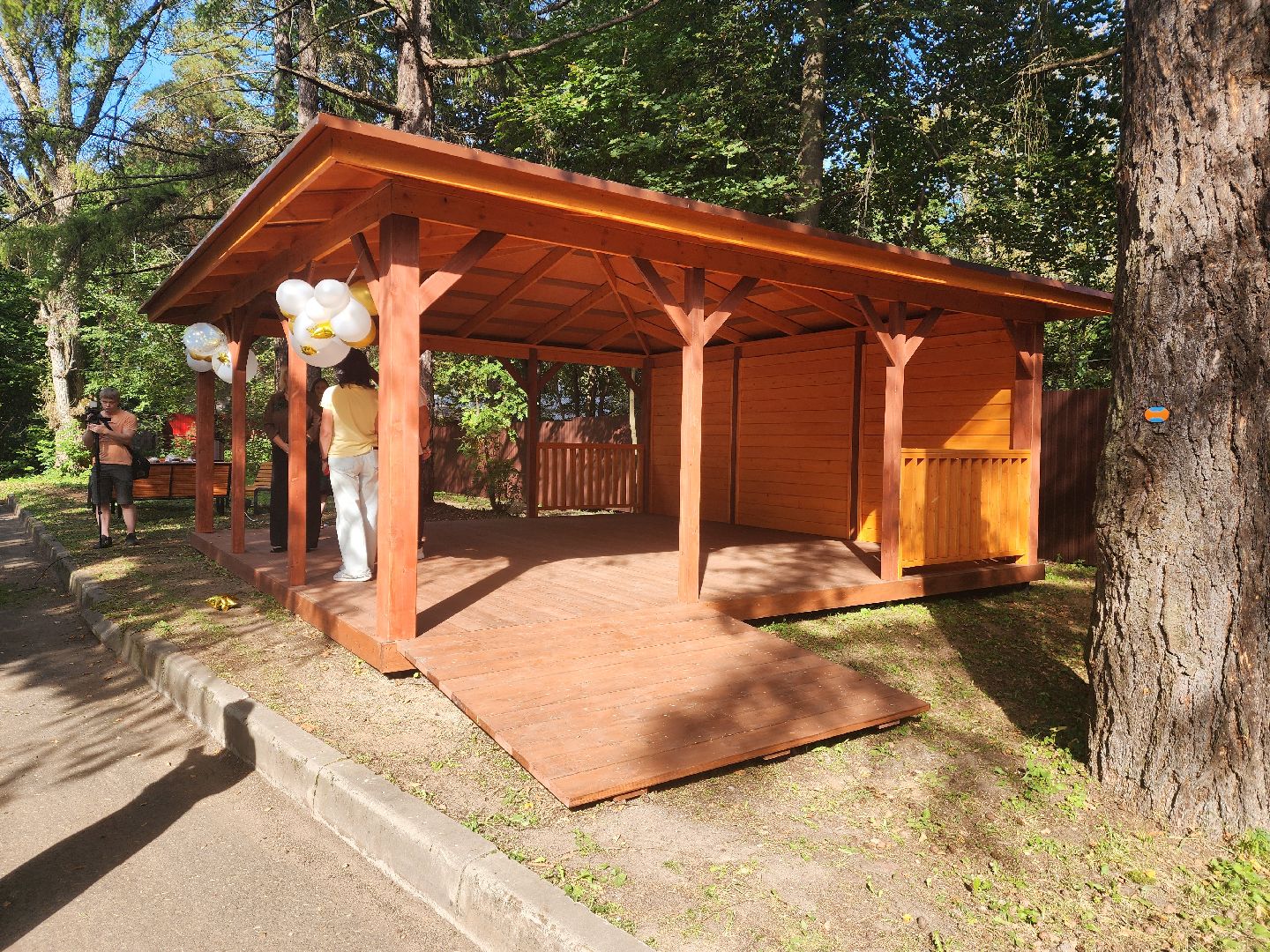 красноармейск, городской округ пушкинский, социальный центр, александр легков, наказы жителей,