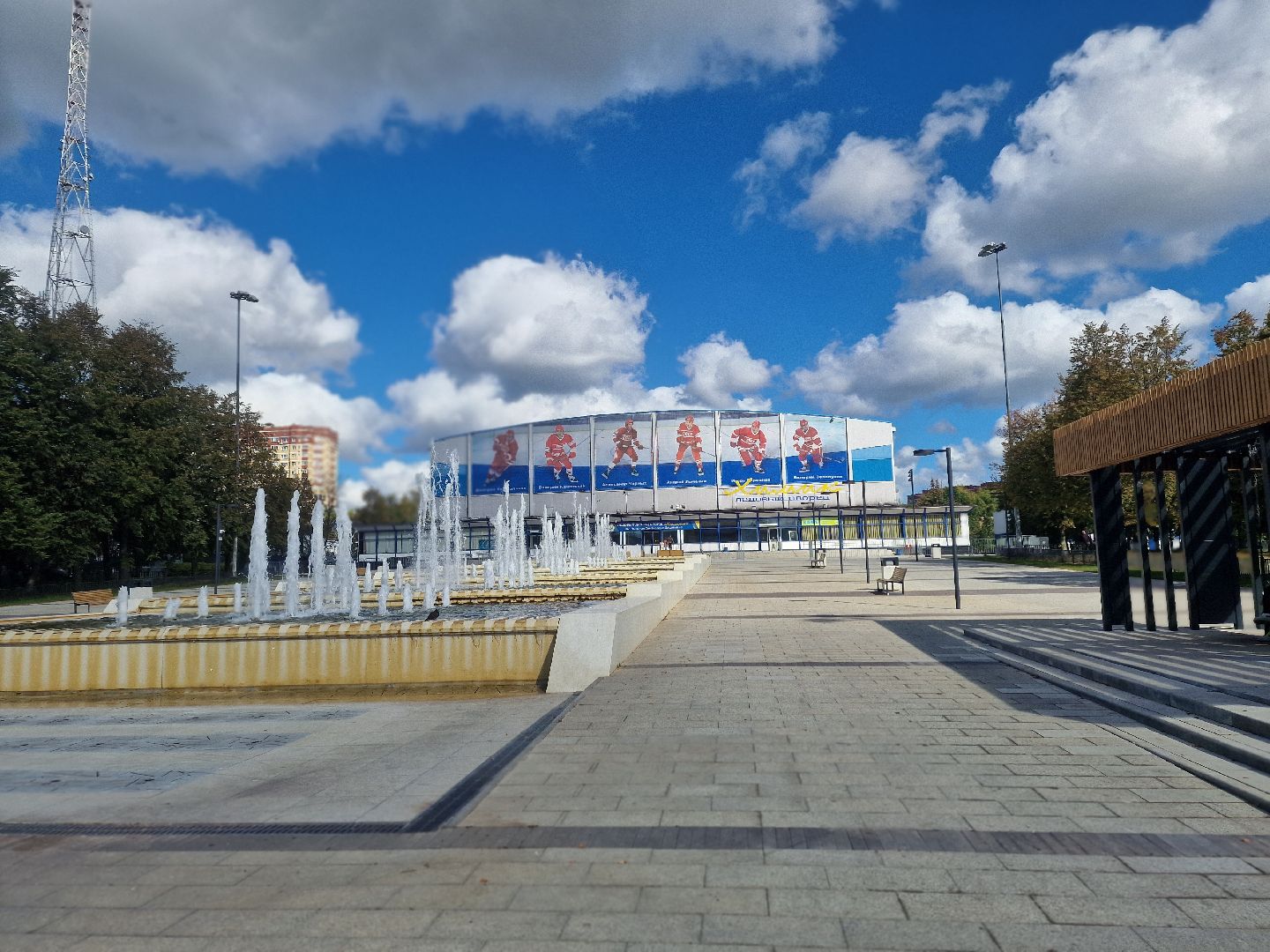 воскресенск, хоккей, олимпийский чемпион, юбилей,