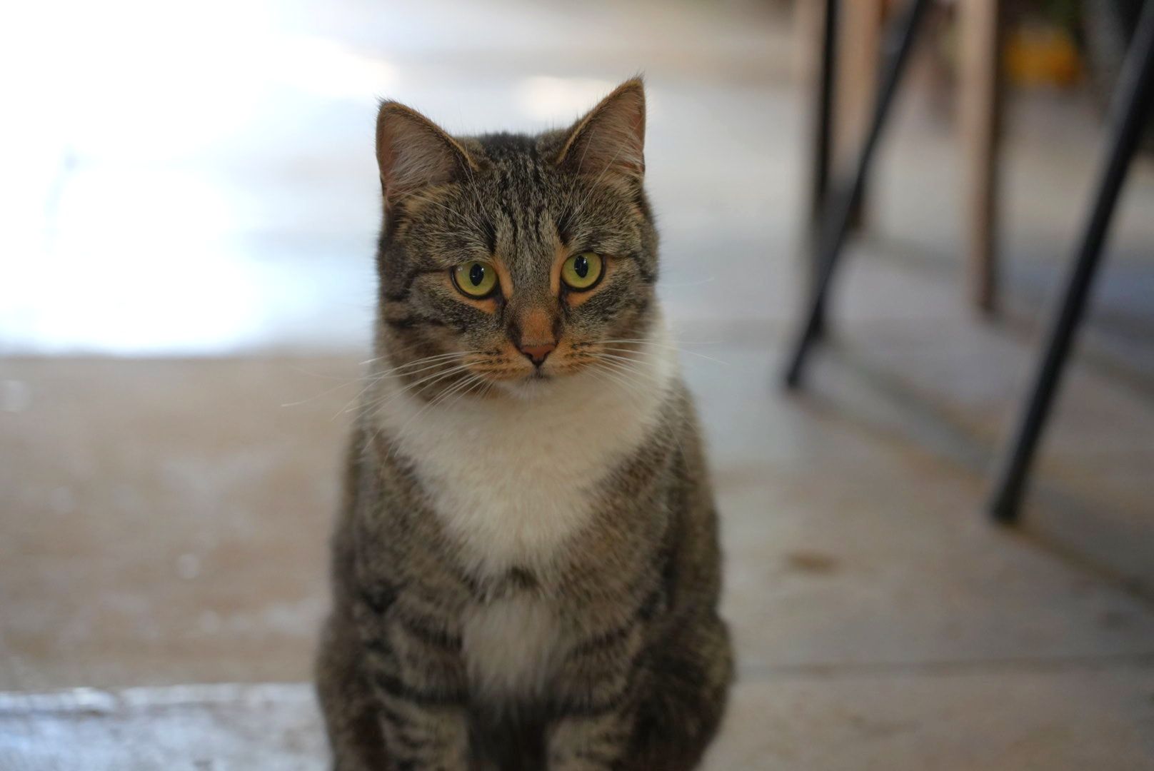 жкх , сергиев посад, сергиево-посадский городской округ, котельная , отопление , подготовка к зиме ,