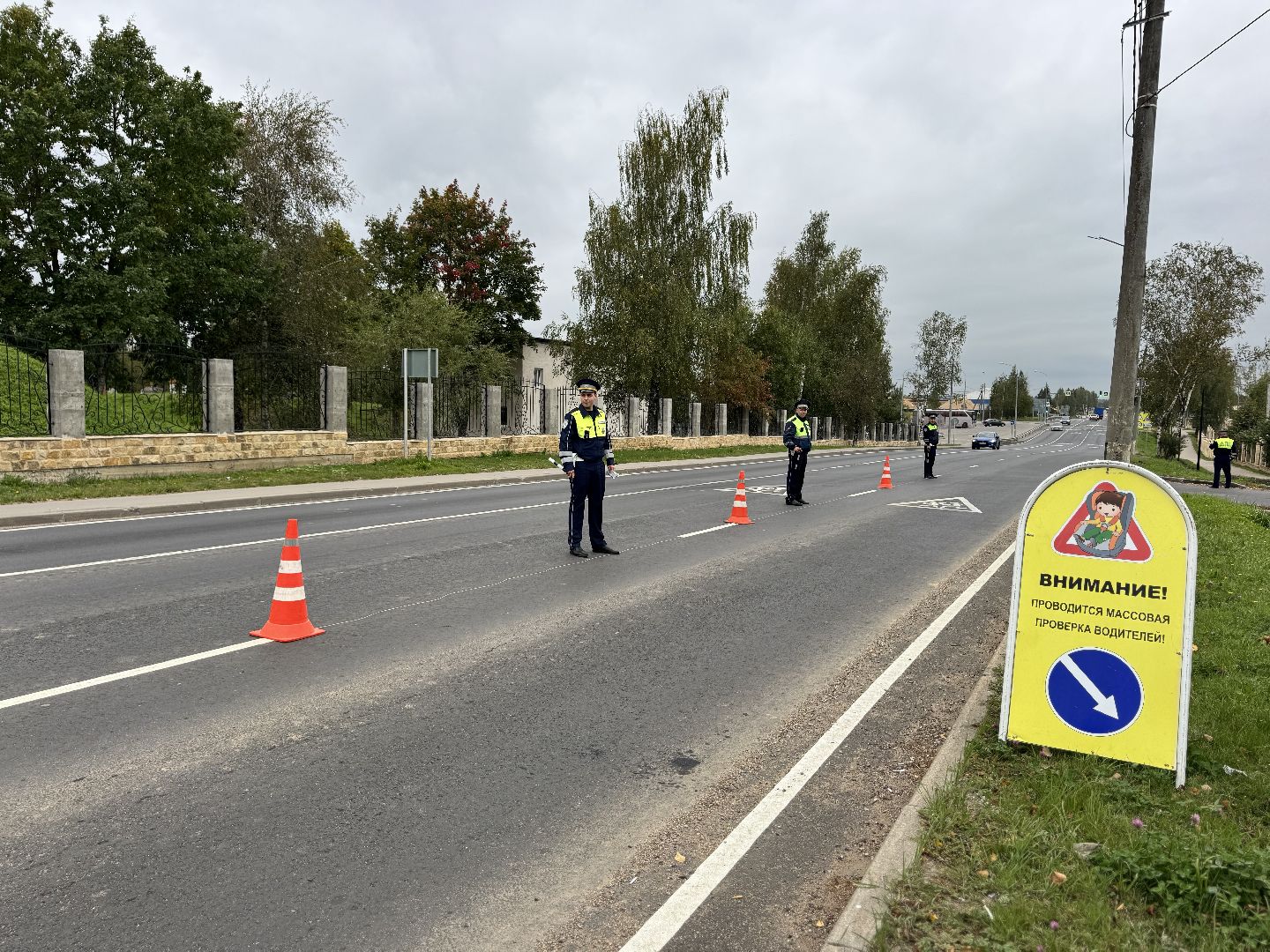 шаховская, рейд, рейд детское кресло,