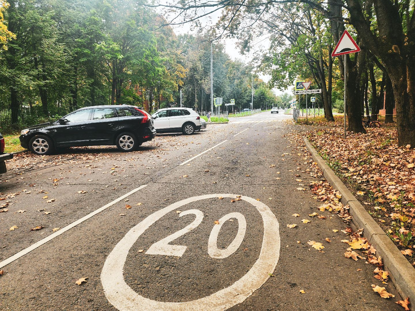 пущино, серпухов, минтранс,