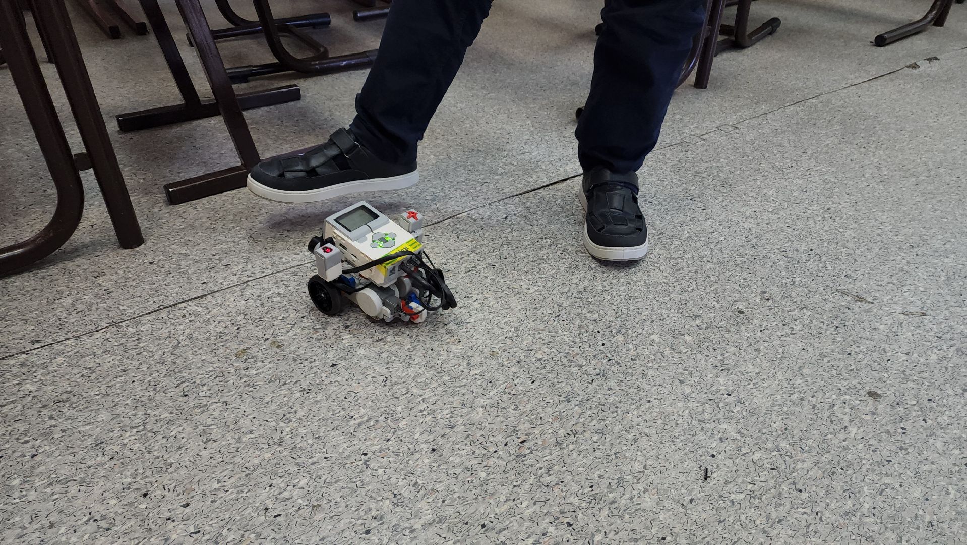 пушкинский округ, правдинский, робототехника, точка роста, образовательный комплекс, программирование, ученики,лего,конкурсы,