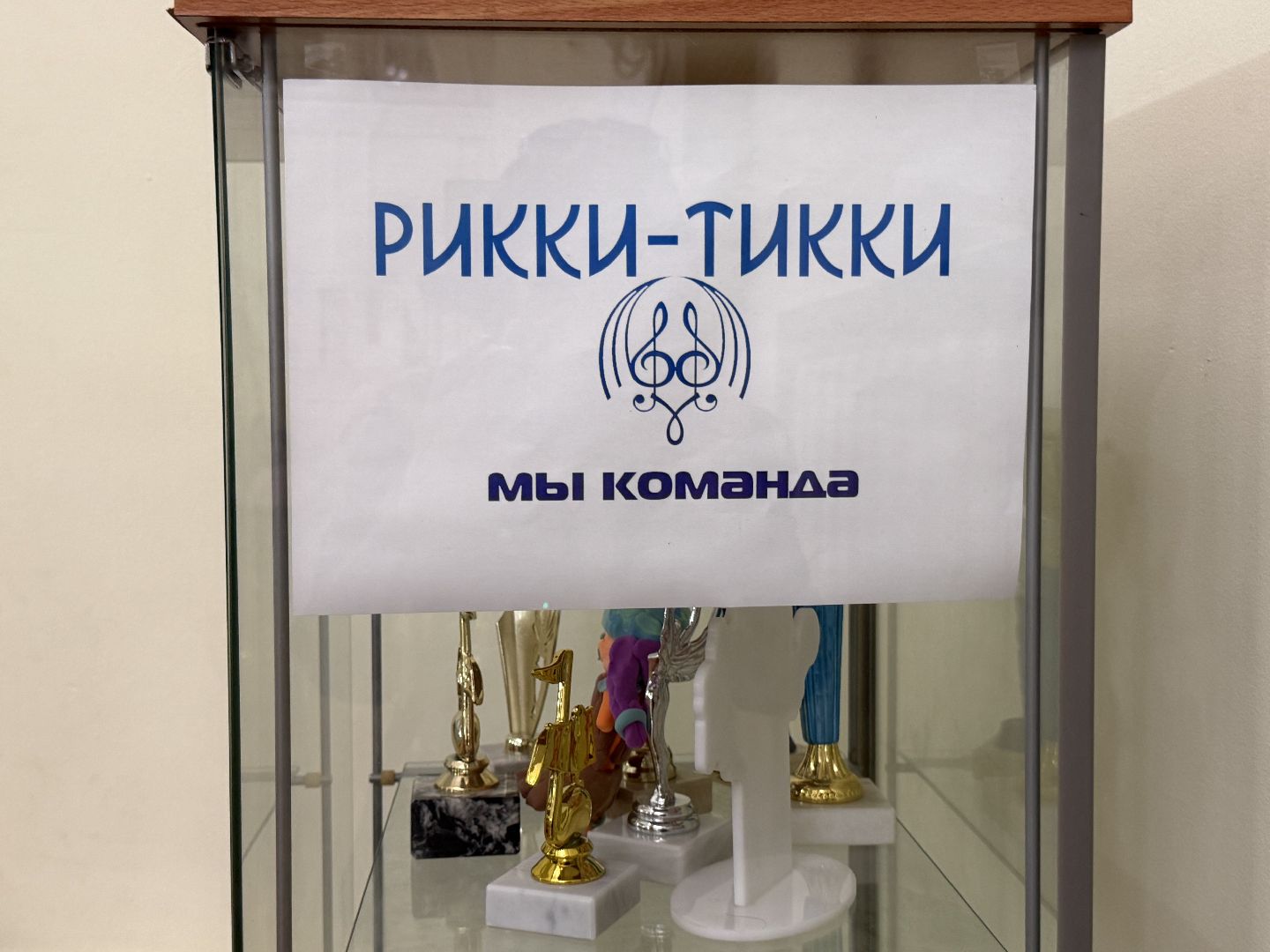 Котельники, Вокальная студия, Рикки тикки, Юные таланты , Конкурсы,