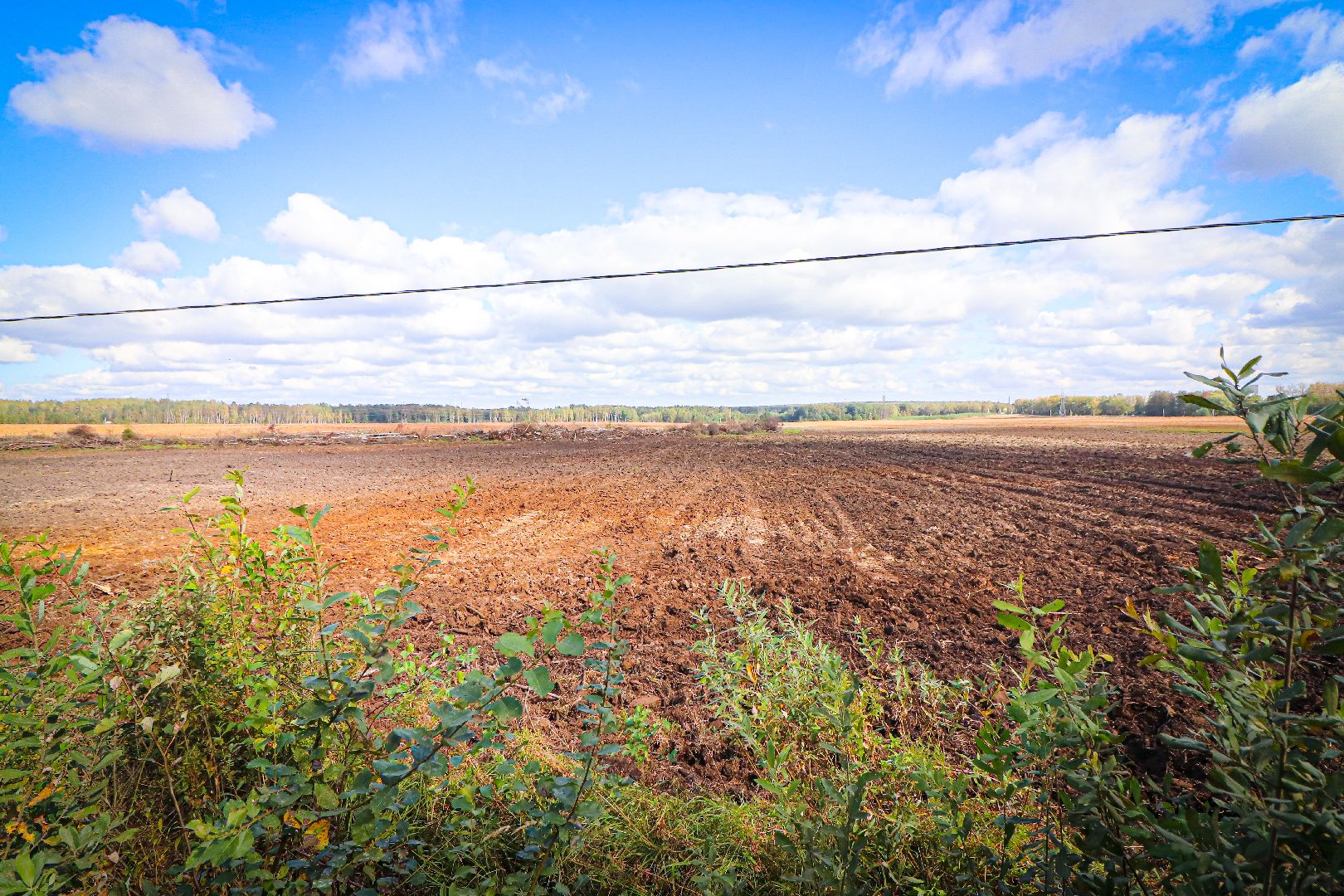 клин, общество, экономика, сельское хозяйство, картофель, новые поля,