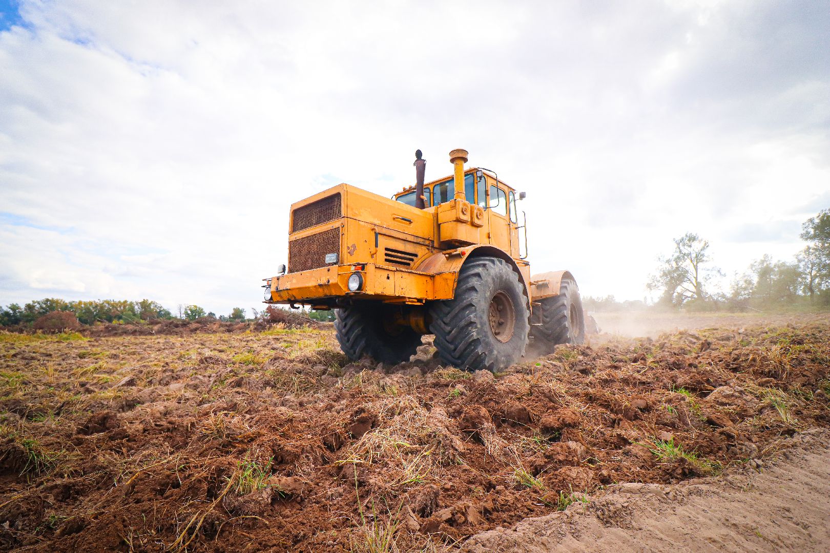 клин, общество, экономика, сельское хозяйство, картофель, новые поля,
