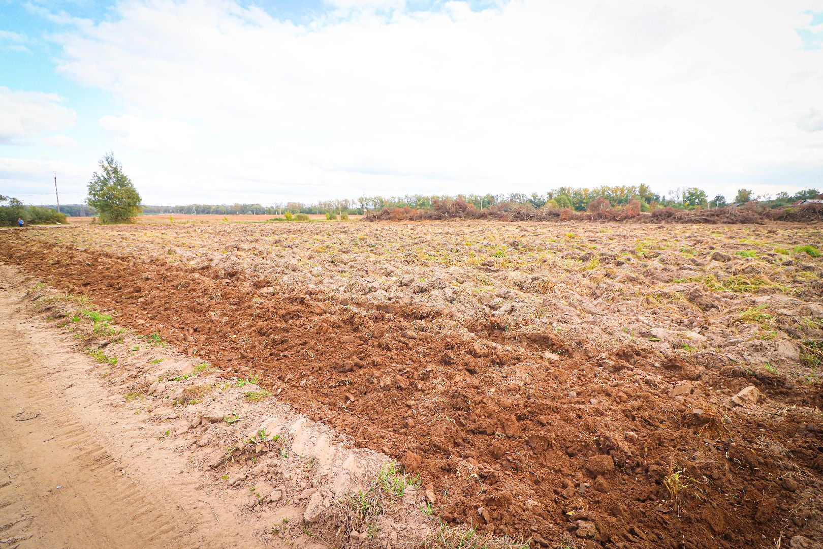 клин, общество, экономика, сельское хозяйство, картофель, новые поля,