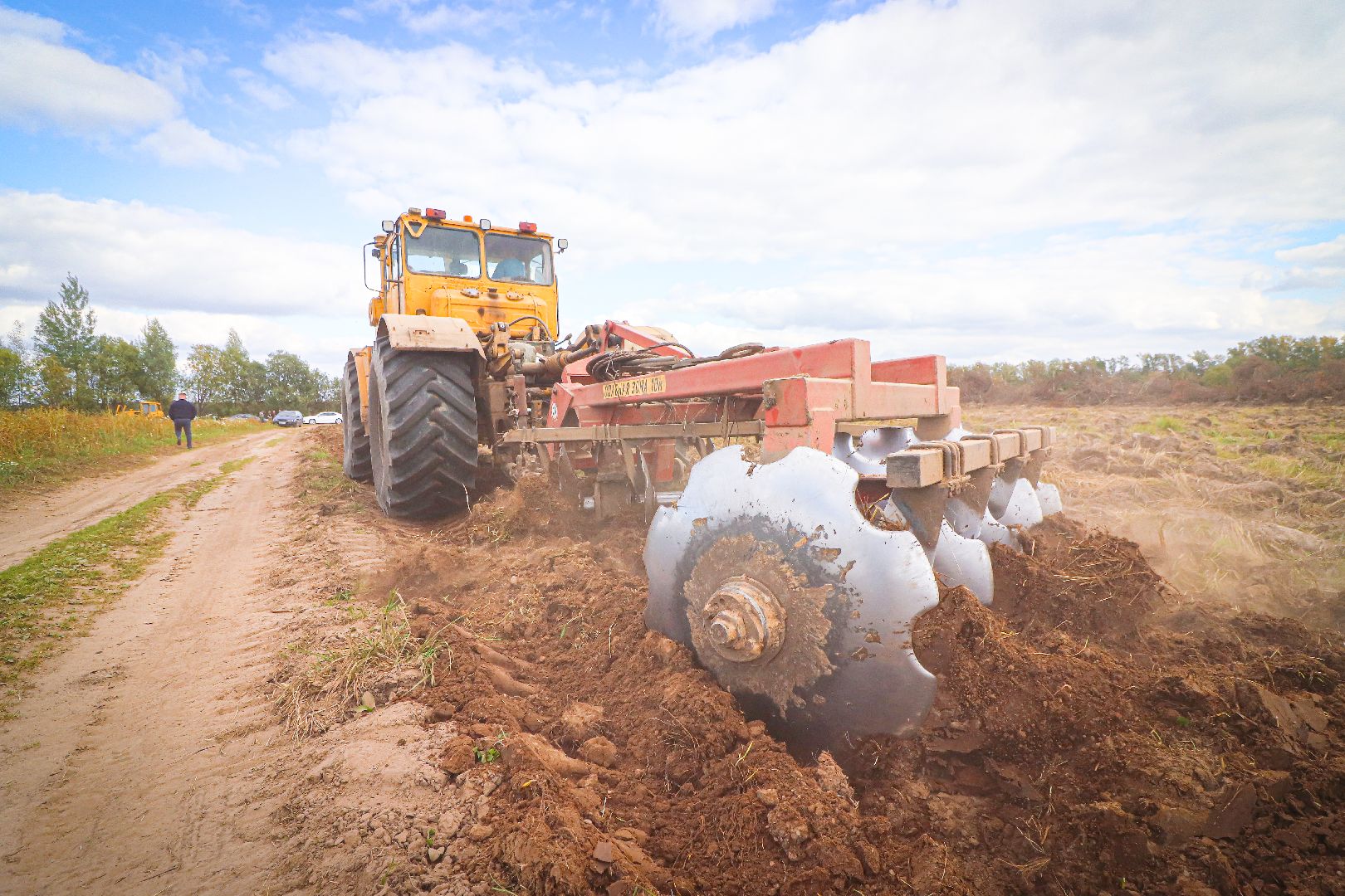 клин, общество, экономика, сельское хозяйство, картофель, новые поля,