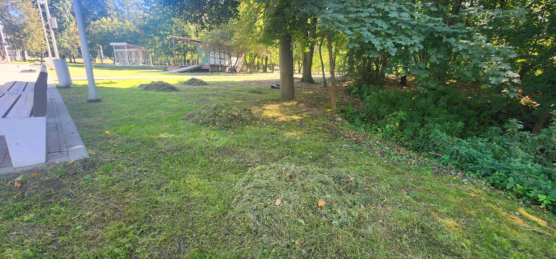 Истра, Парк, Благоустройство , Уборка,