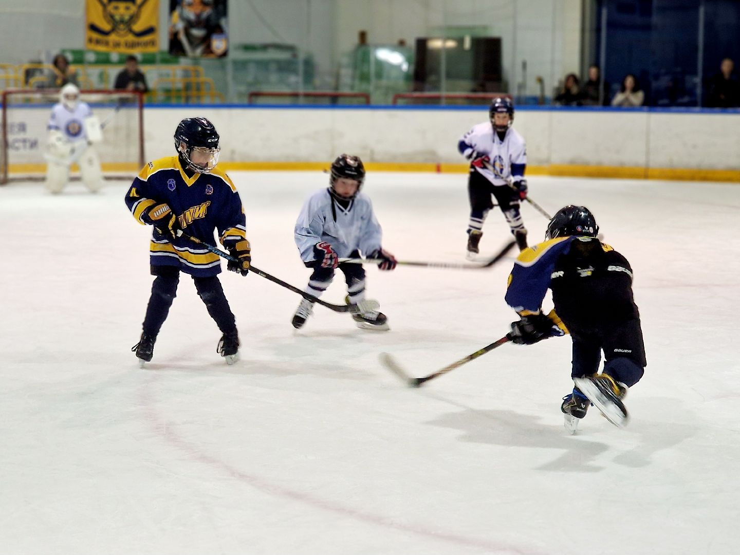 воскресенск, хоккей,   олимпийский чемпион,