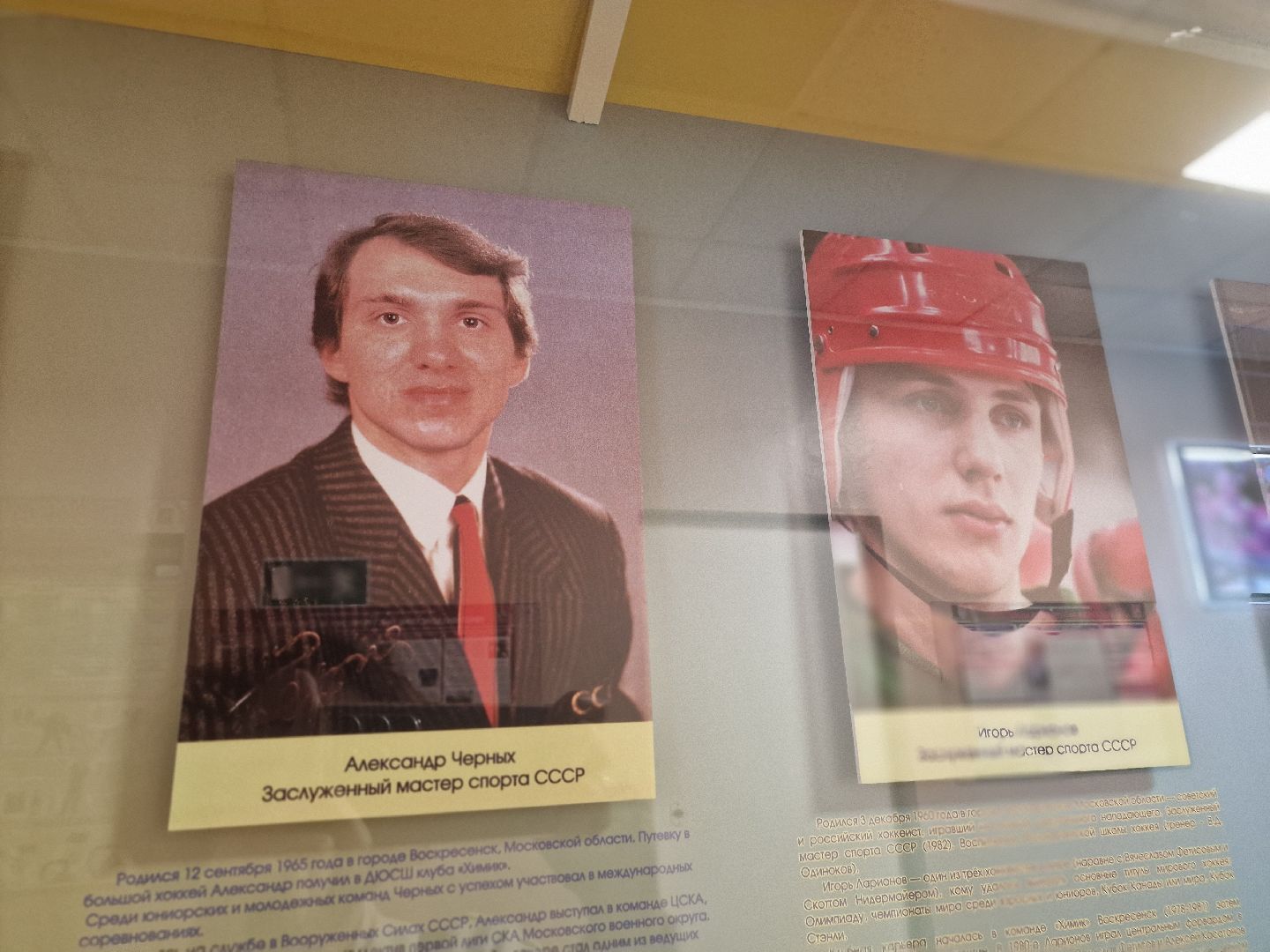 воскресенск, хоккей,   олимпийский чемпион,