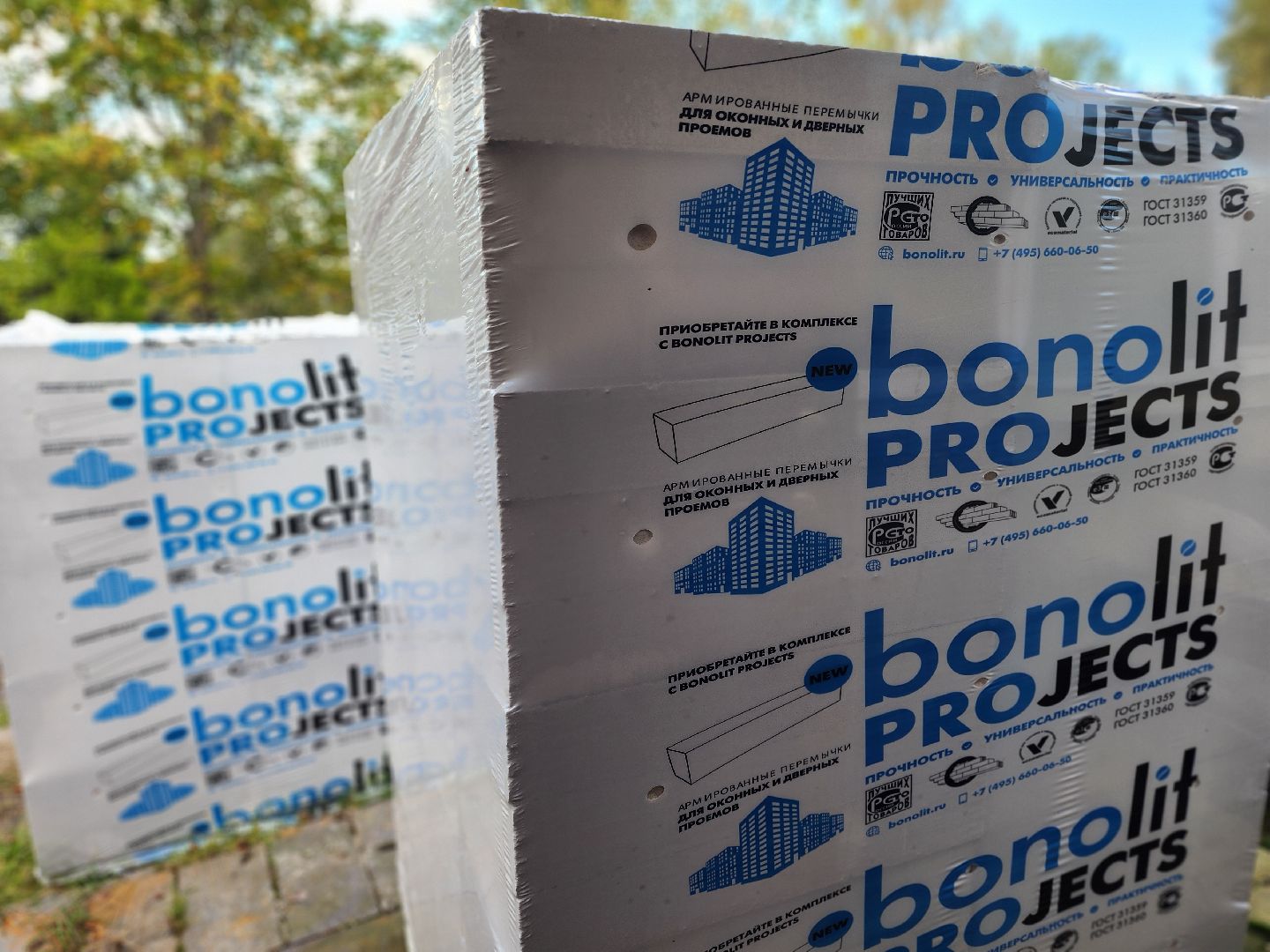 сергиев посад, сергиево-посадский городской округ, ярыгино, васильевское, резиденция керамики, посадская усадьба, михаил бывших,мануфактура попова, фарфор попова,