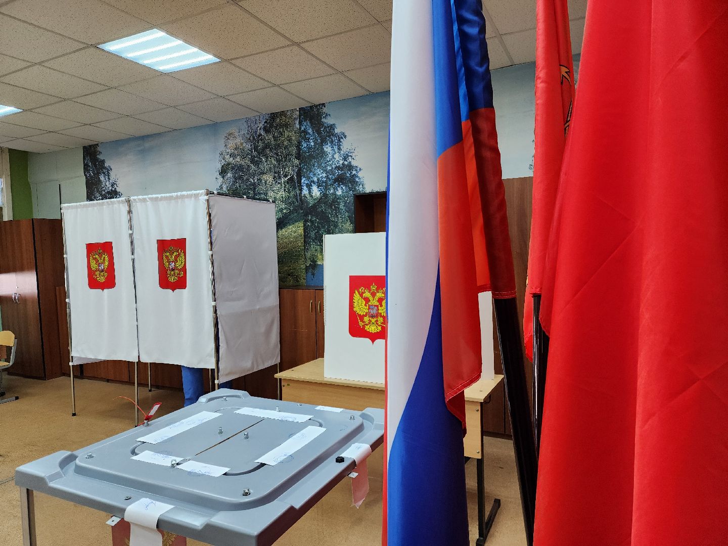 электросталь , жители, выборы, голосование, совет депутатов,