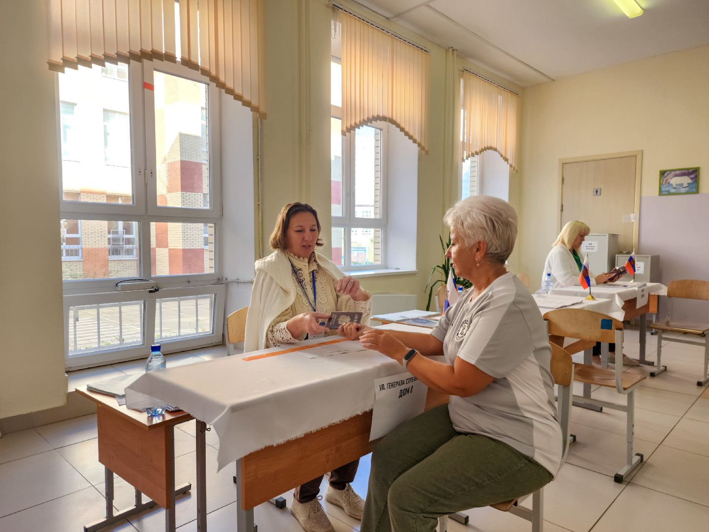 Подольск, Выборы, Избиратели, Голосование,уик,