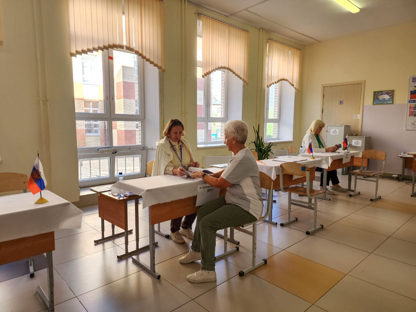 Подольск, Выборы, Избиратели, Голосование,уик,