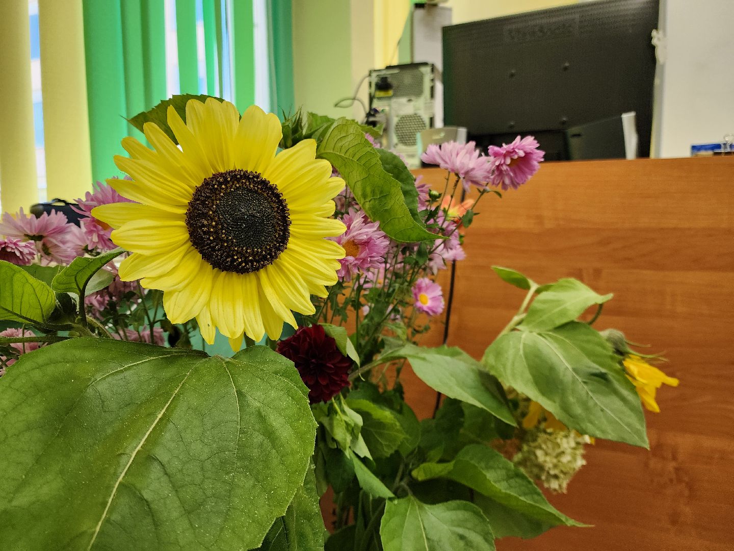 электросталь , жители, выборы, голосование, совет депутатов,