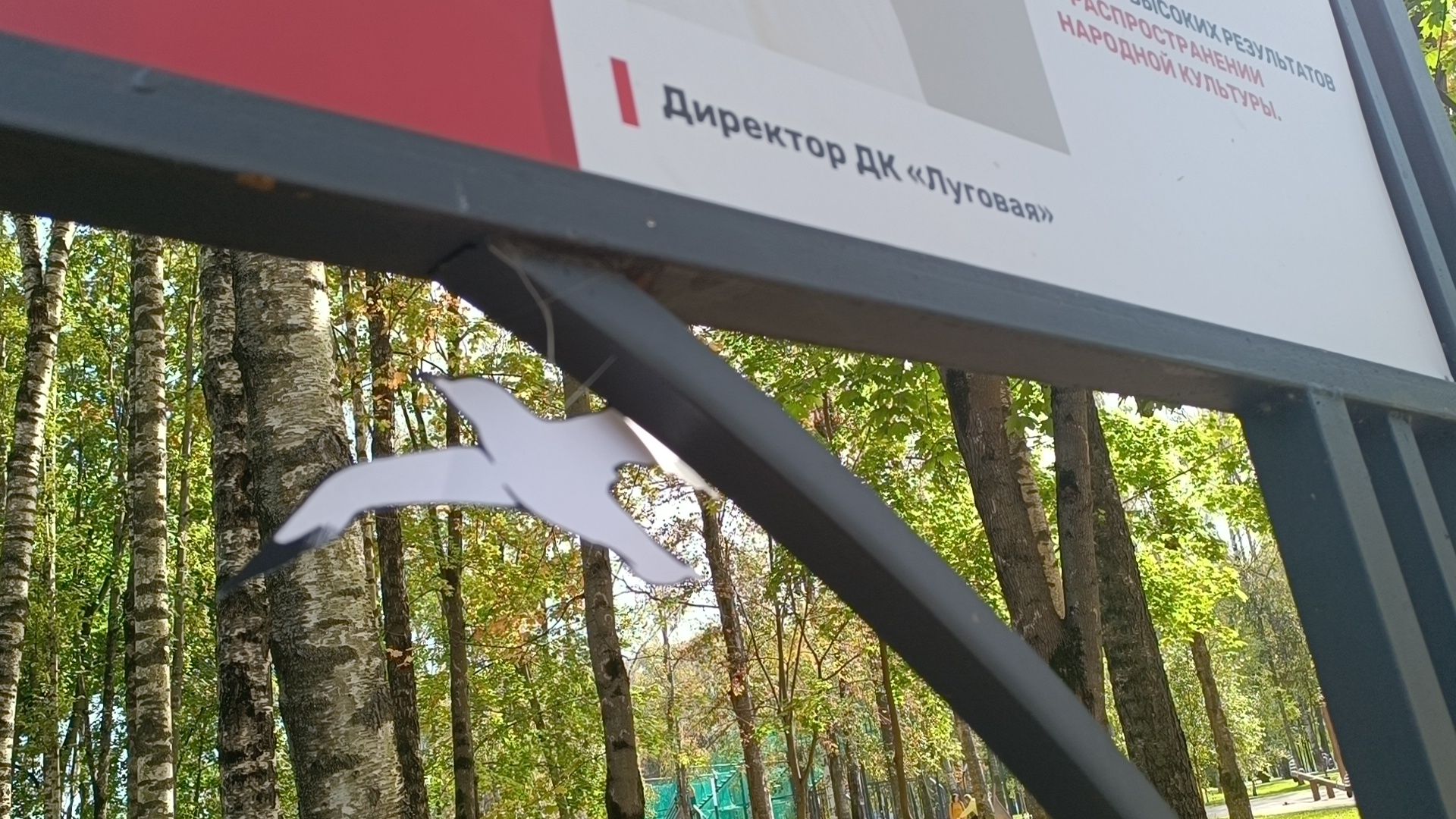 лобня, день города, ветераны, парк,