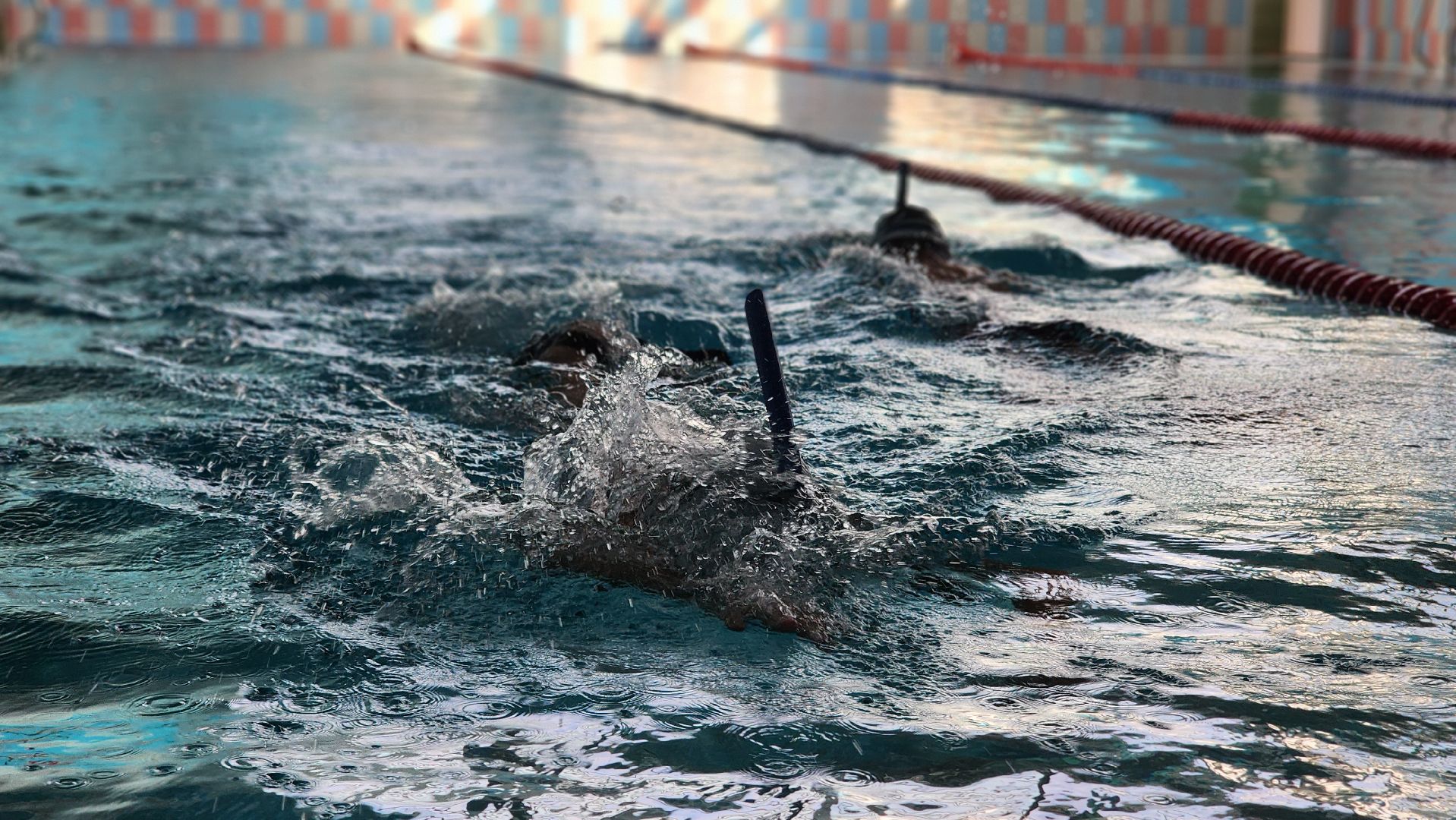 волоколамск, подводный спорт, плавание, тренер,