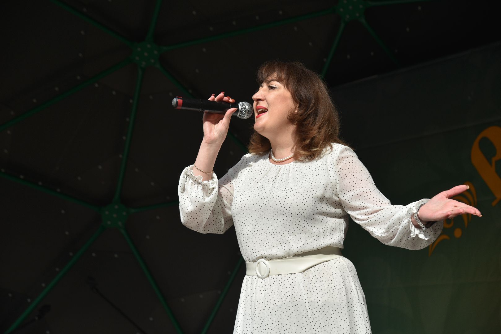 лотошино, лотошинский парк, картофельный разгуляй, праздник, парки подмосковья,