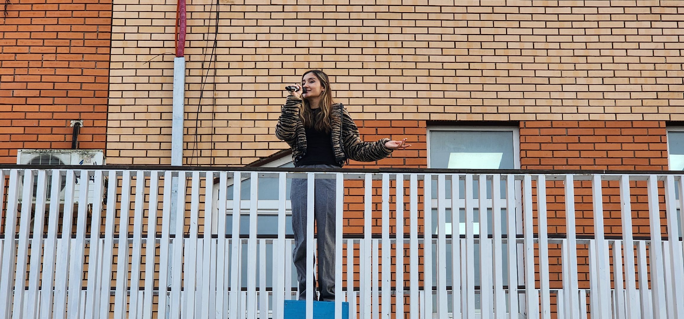 Истра, Музыка, Культура, Выступление,