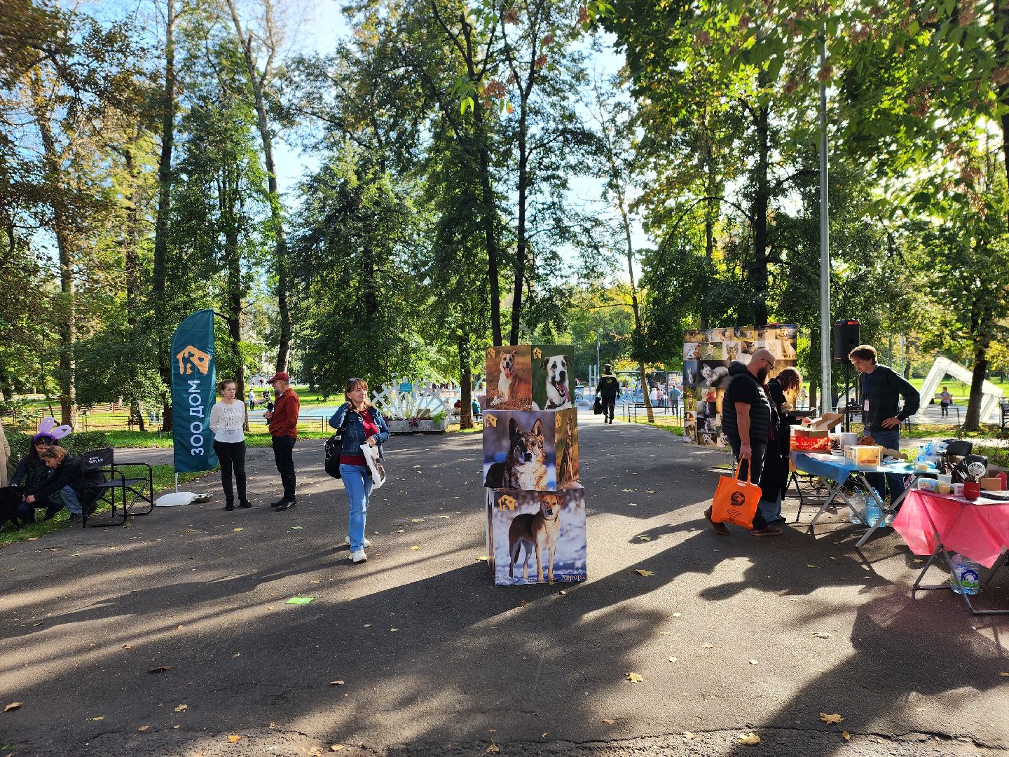 королев, день города королев, зоо дом,