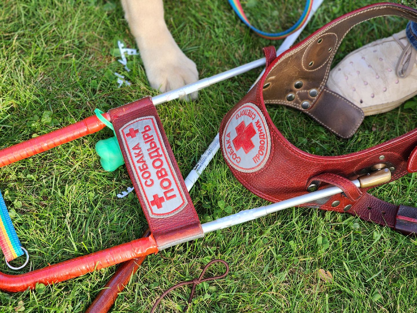 мураново, музей-усадьба мураново, мудрый пес, светлана телицына, собака-поводырь, аксаковская уха, гастрономический фестиваль,пушкинский городской округ,