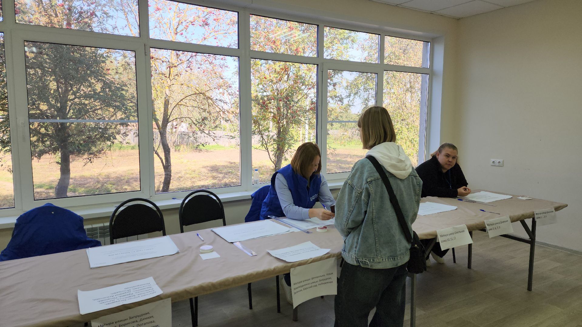 луховицы, выборы, выборы в совет депутатов, довыборы, матыра,