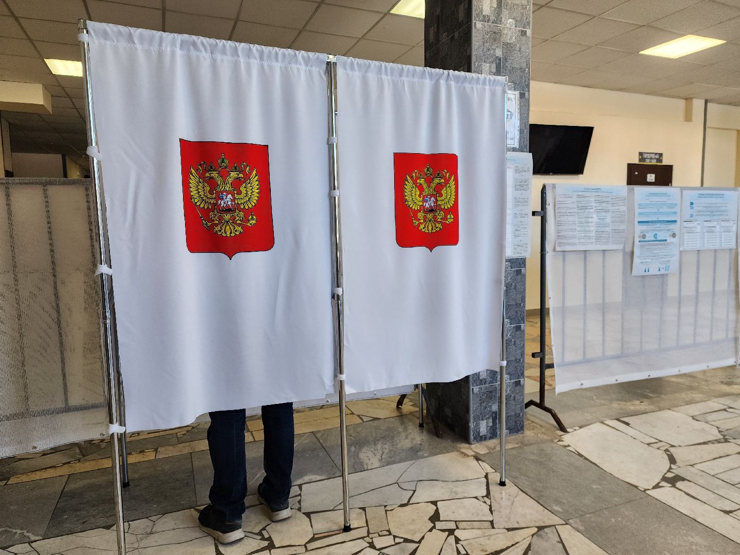 электросталь, выборы, жители, общество, голосование, совет депутатов,