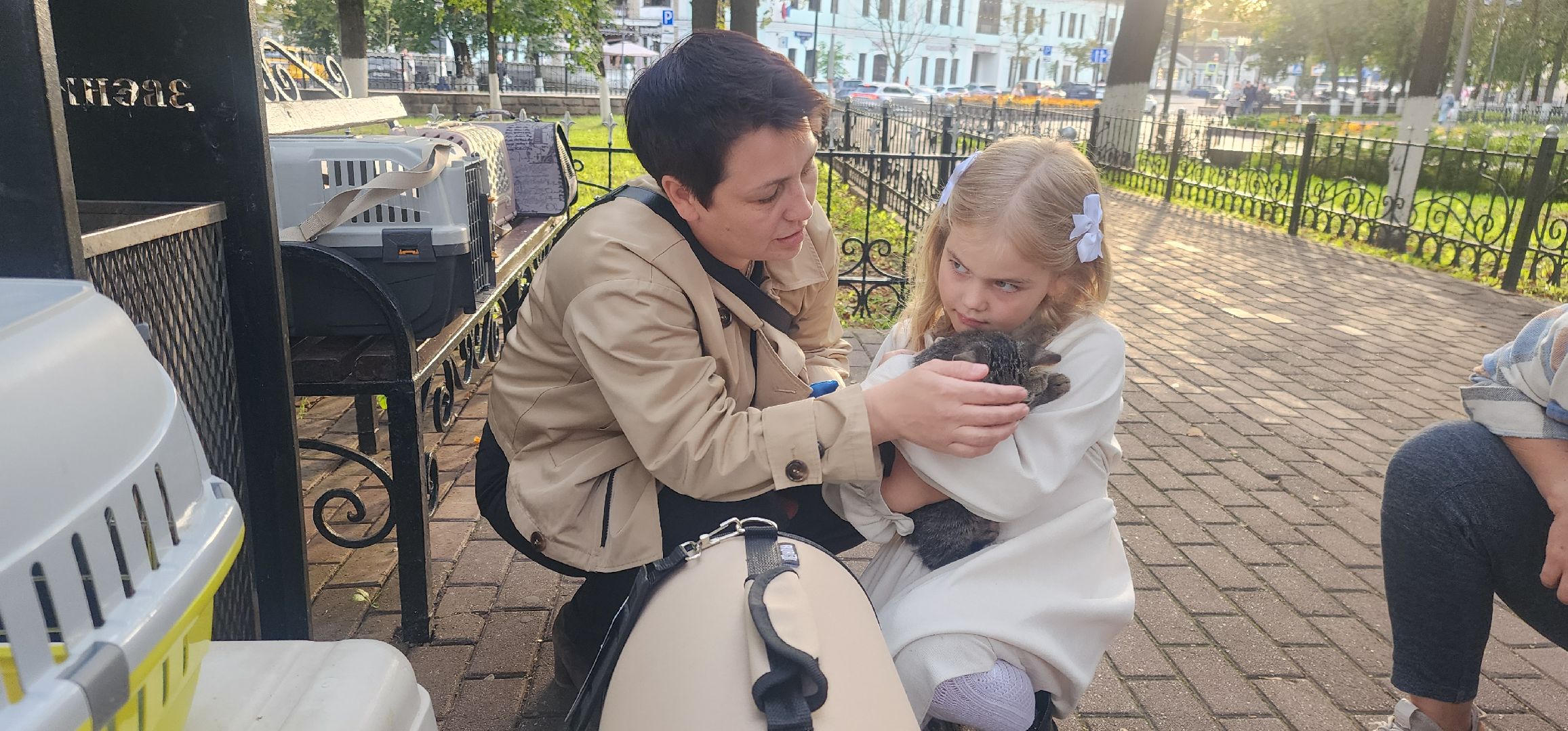 Общество , Зооволонтеры , Выставка кошек и собак, Животные ,