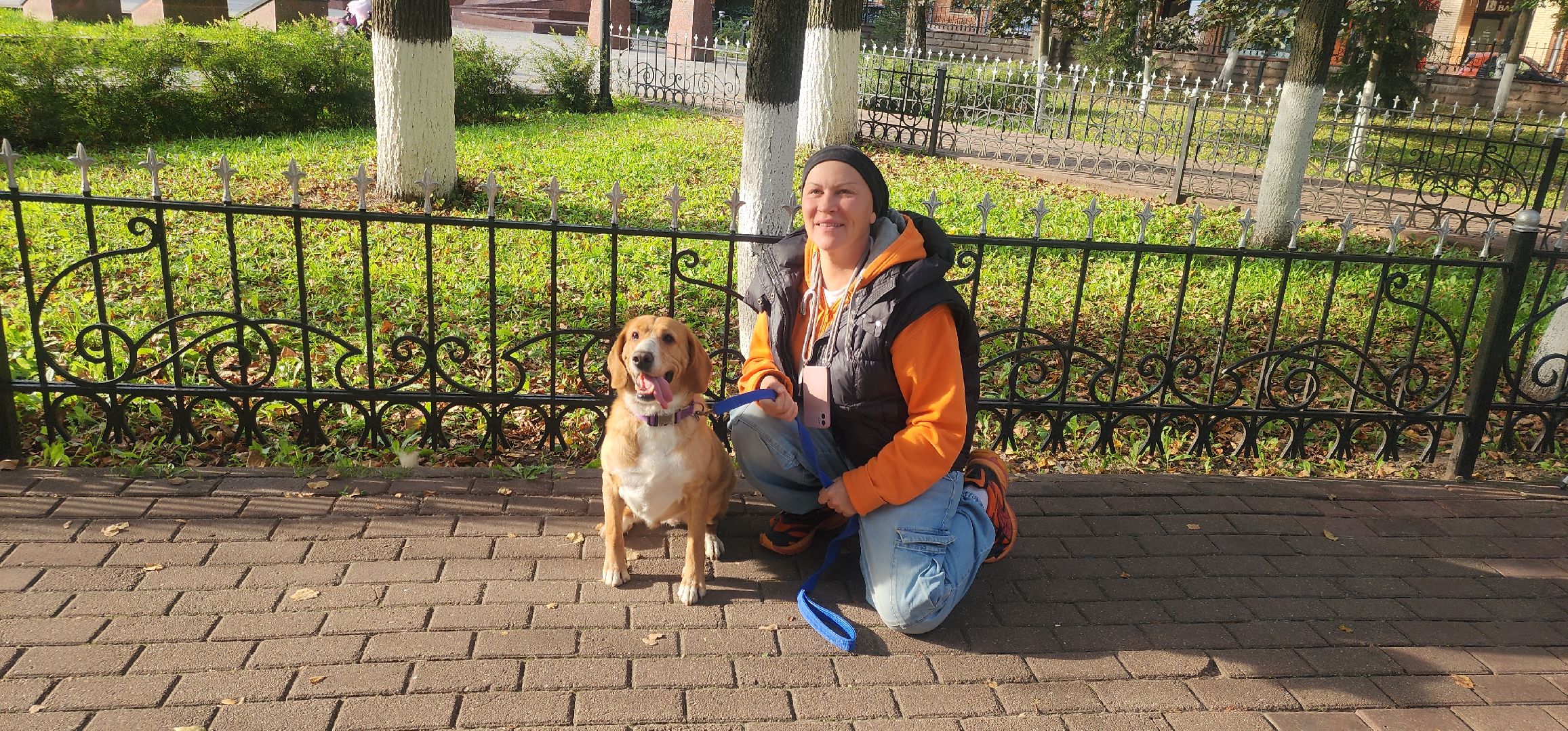 Общество , Зооволонтеры , Выставка кошек и собак, Животные ,