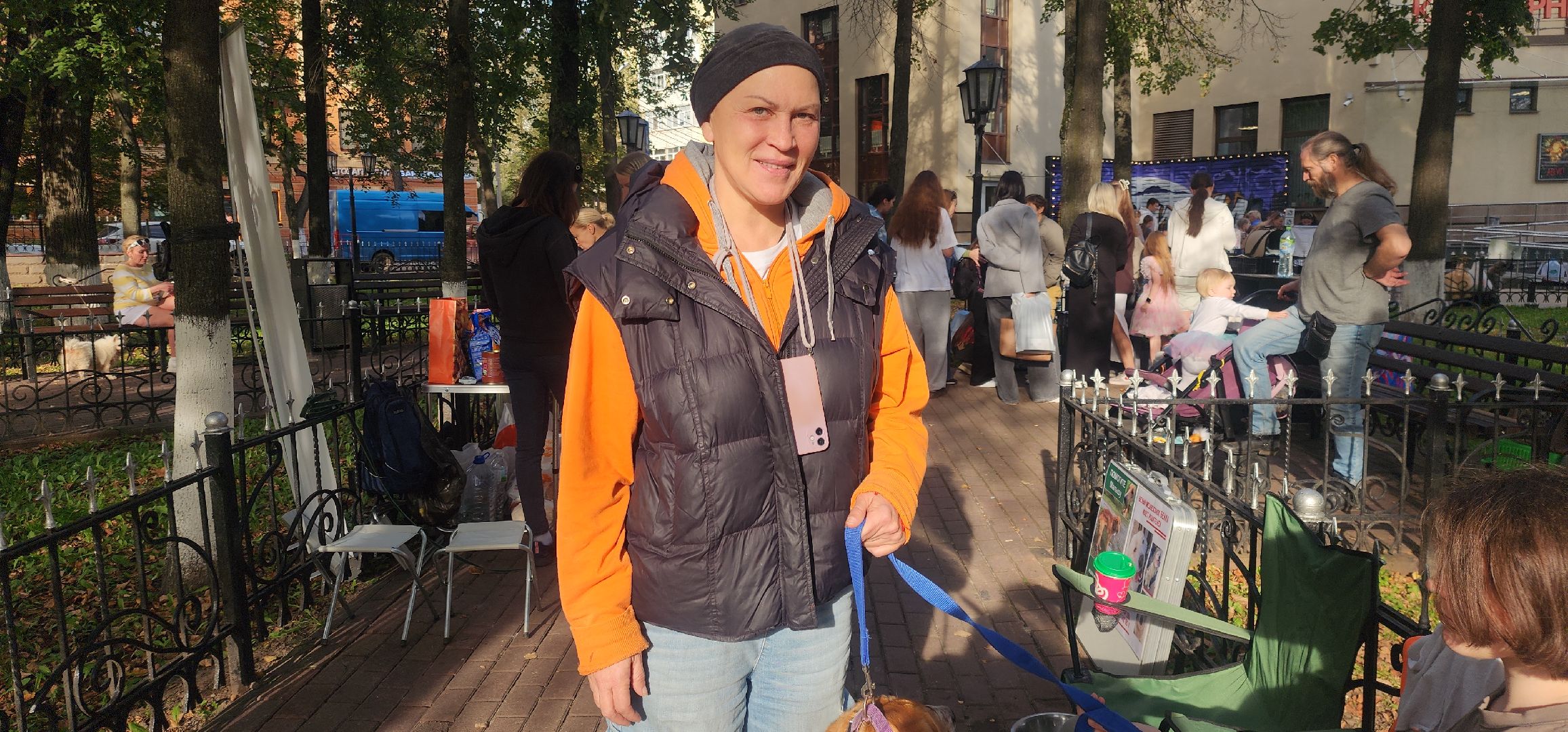 Общество , Зооволонтеры , Выставка кошек и собак, Животные ,