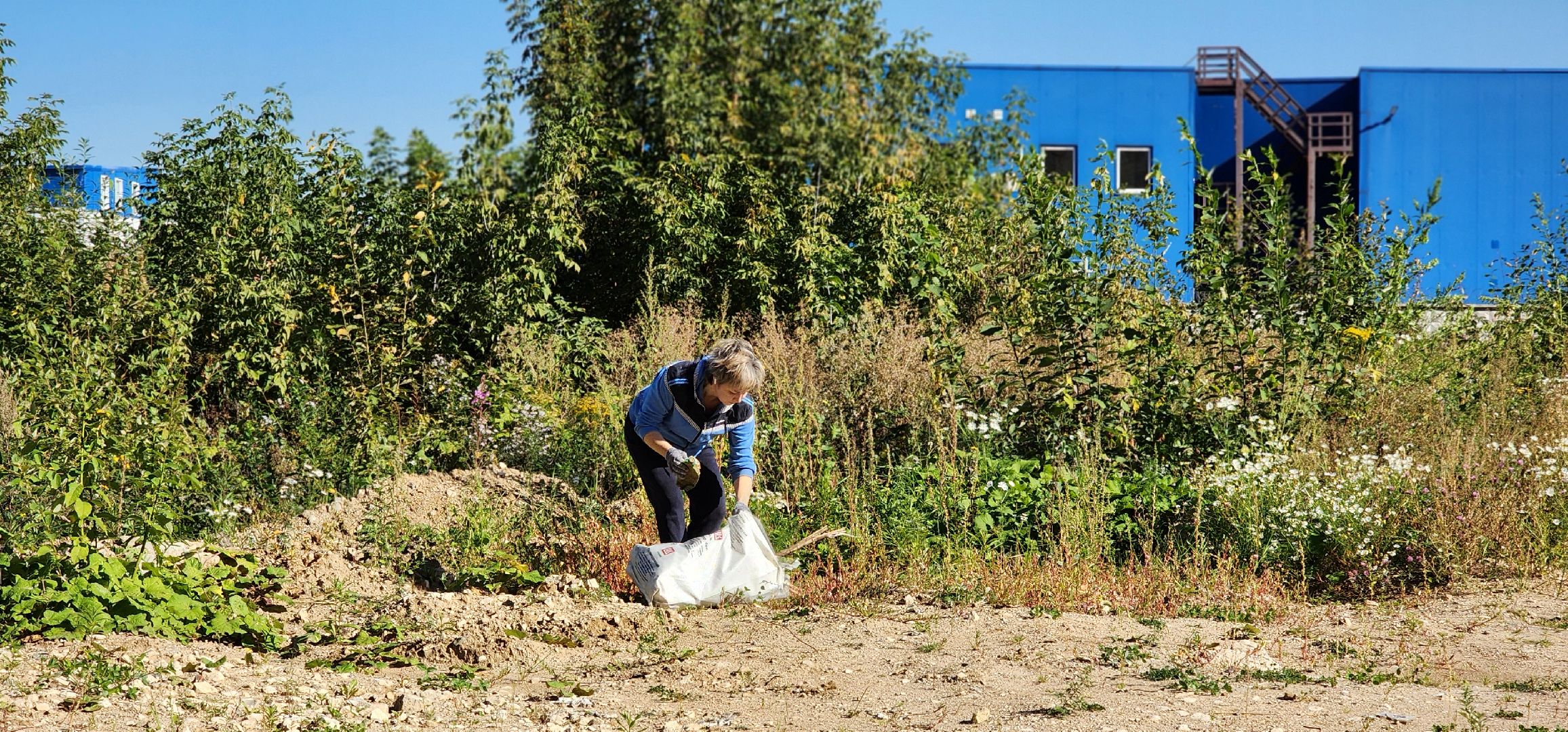 Химки, благоустройство, дороги, парковки,